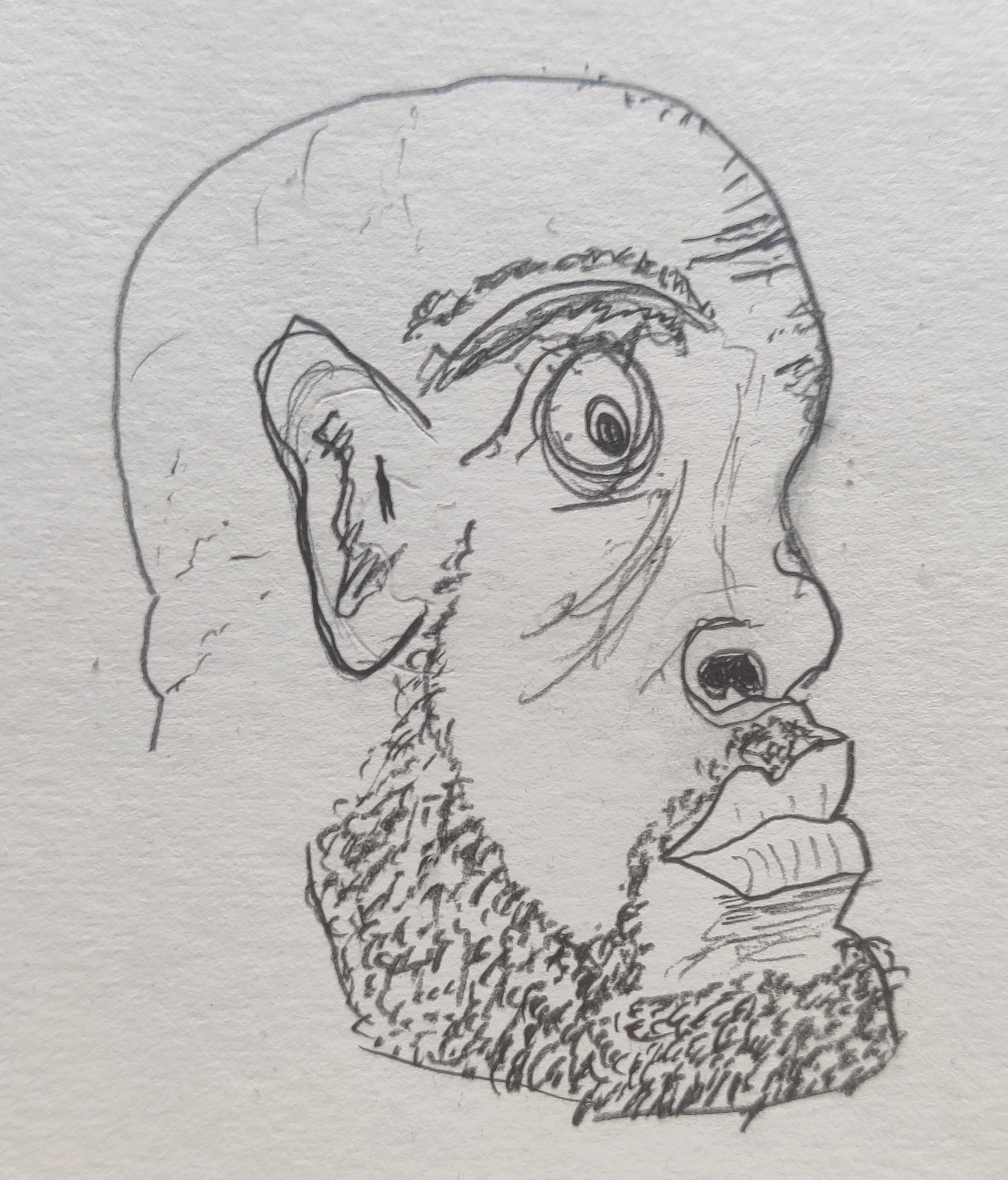 Kanatar Menton-Épave